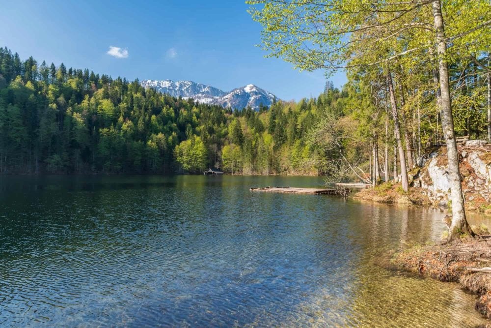 Frühlingsmorgen am Toplitzsee