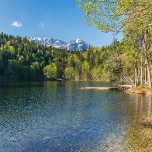 Frühlingsmorgen am Toplitzsee