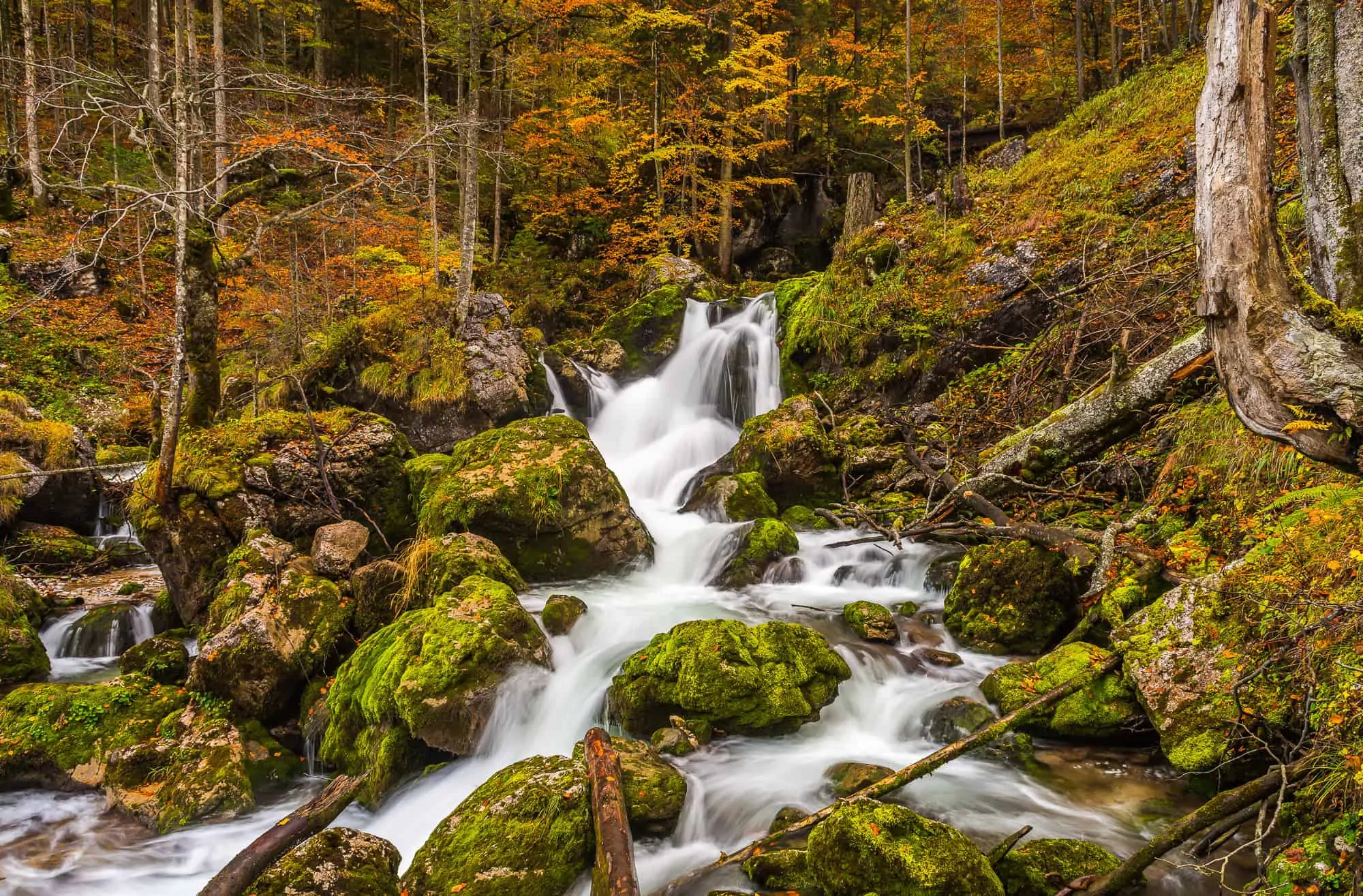 Der Hartelsgraben im Nationalpark Gesäuse zeigt sich im Herbst von seiner schönsten Seite