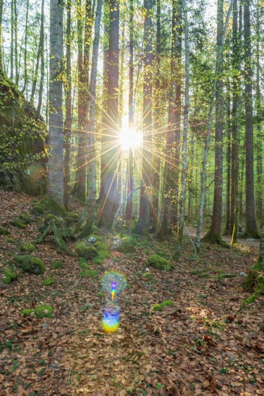 Grundlagen in der Landschafts- und Naturfotografie – Bild 3