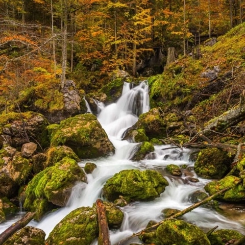 Der Hartelsgraben im Nationalpark Gesäuse zeigt sich im Herbst von seiner schönsten Seite