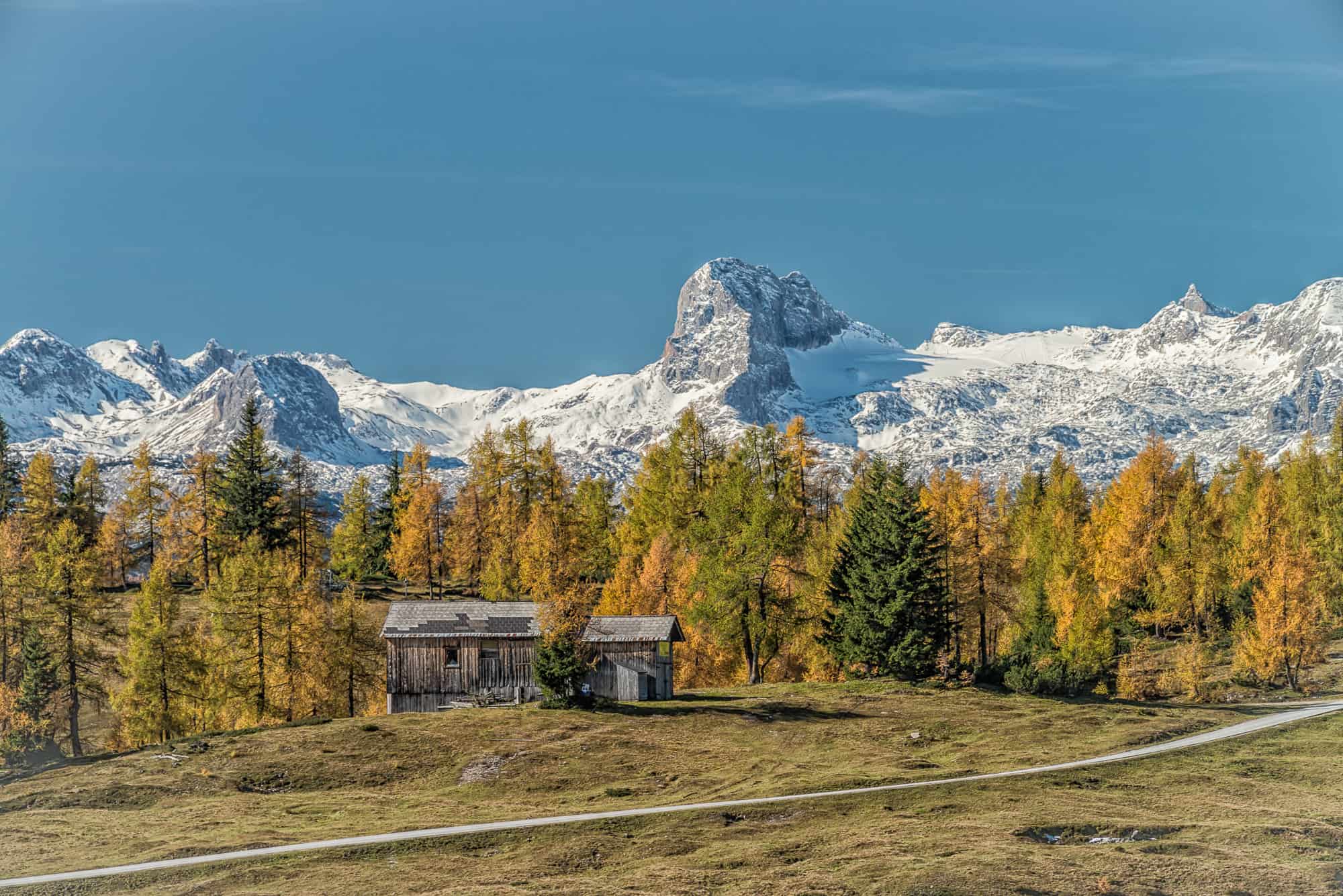 in der Ferne throhnt der hohe Dachstein vor den golden gefärbten Lärchen auf der Tauplitzalm