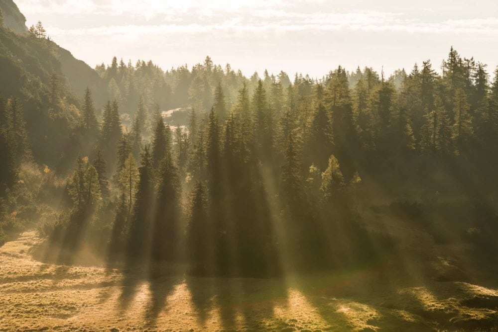 Frühlingserwachen auf der Tauplitzalm – Bild 2