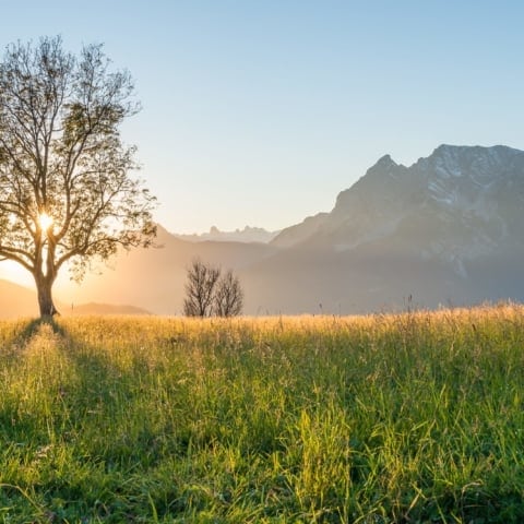 Sonnenuntergang in Vorberg