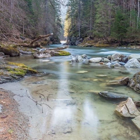 Bachlauf in der Strub Schlucht