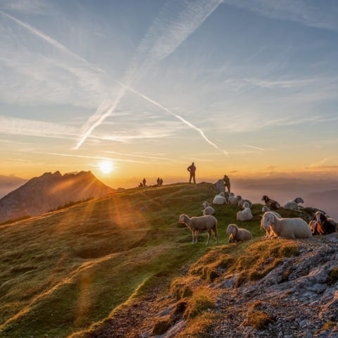 Sonnenaufgang am Stoderzinken