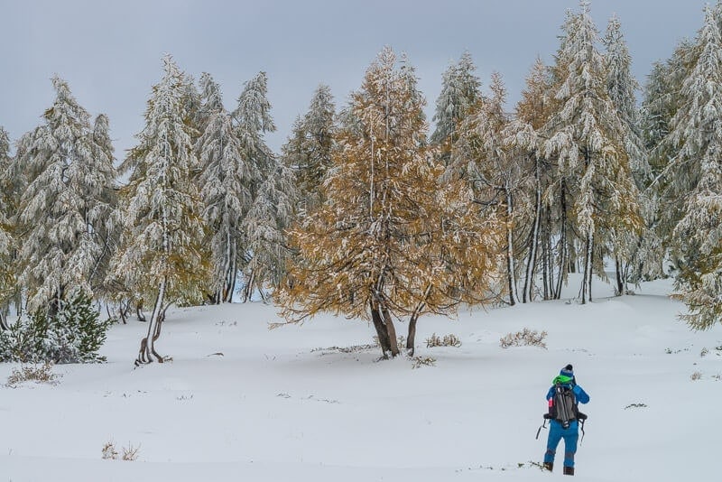 winterliche_laerchen_auf_der_tauplitzalm_mit_fotograf_im_vordergrund.jpg