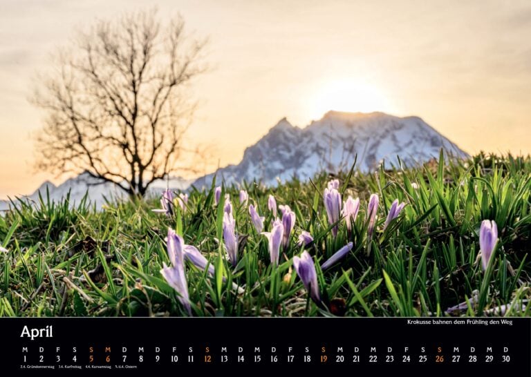 06 kalender 26 6