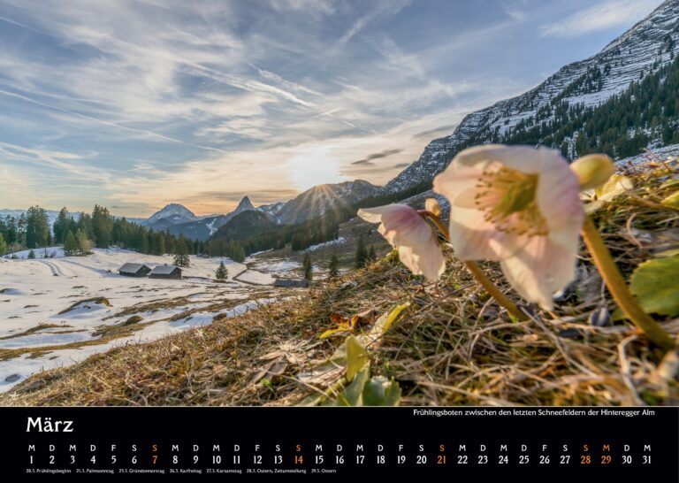 kalender`27 mcapellari print neu 0005 kalender`27 mcapellari print neu 0005