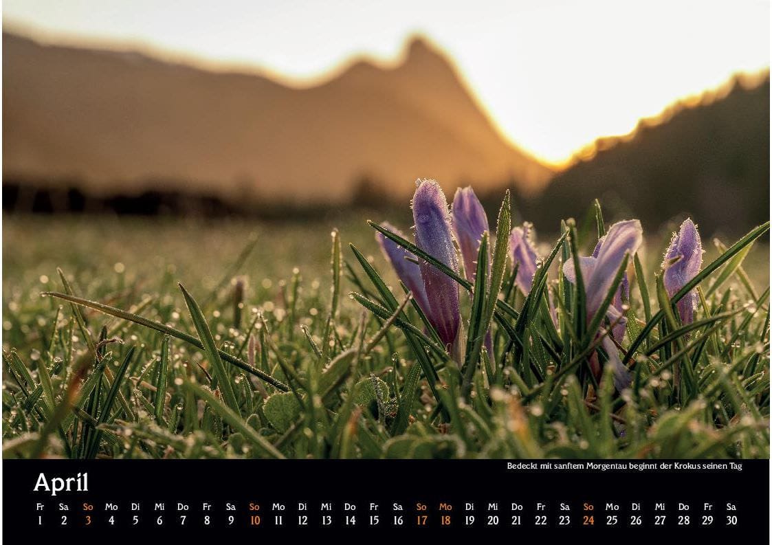 manuel capellari kalender ennstaler lichtblicke 2022 april
