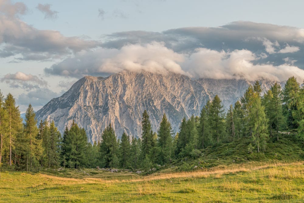 manuel capellari cap1708201820261 bildlizenz m 2500px