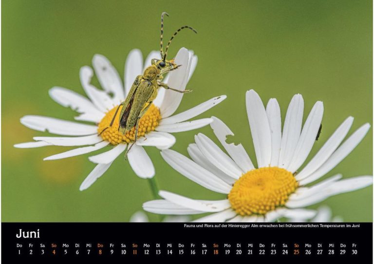 manuel capellari kalender ennstaler lichtblicke 2023 juni